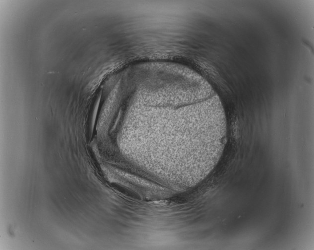 X0000102780687200809081028