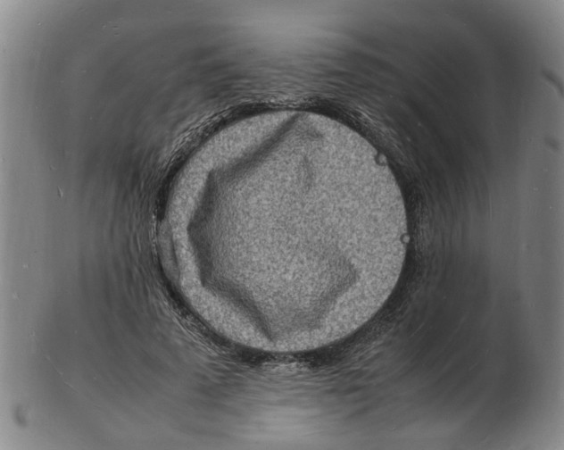 X0000102780689200809081028