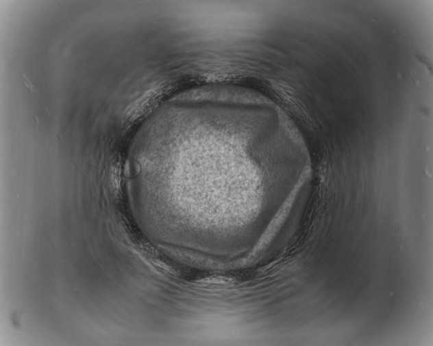 X0000102780691200809081028