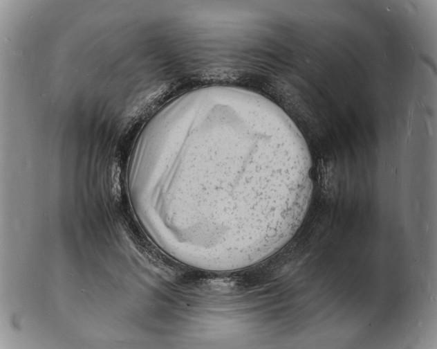 X0000102780692200809081028