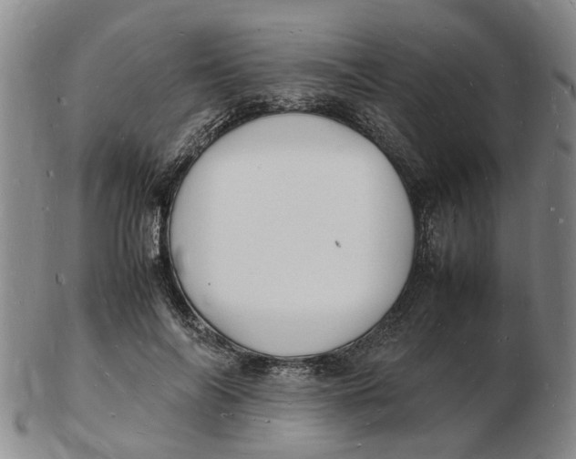 X0000102780694200809081028