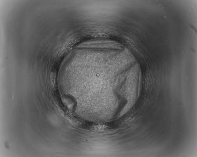 X0000102780695200809081028