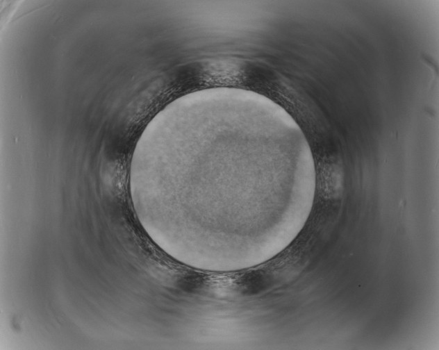 X0000102780701200809081027