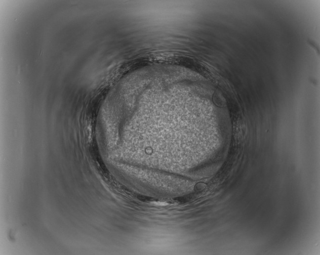 X0000102780703200809081027