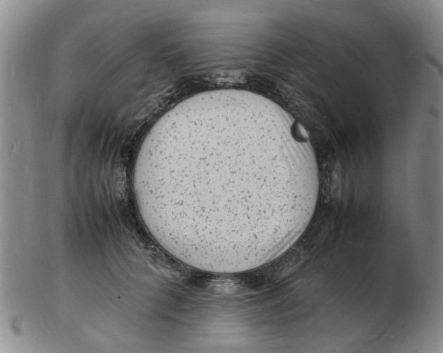 X0000102780704200809081027