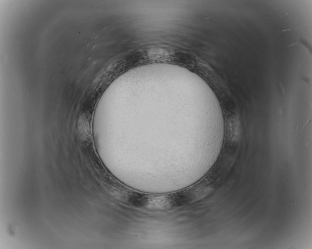 X0000102780705200809081027