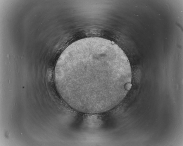 X0000102780709200809081027