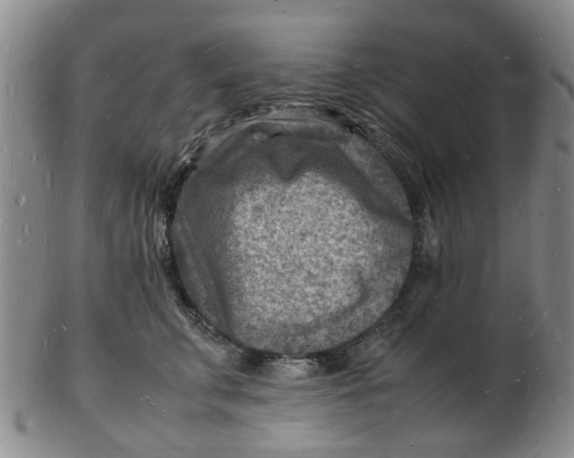 X0000102780711200809081027