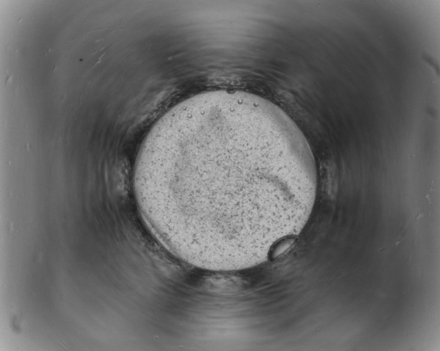 X0000102780712200809081027