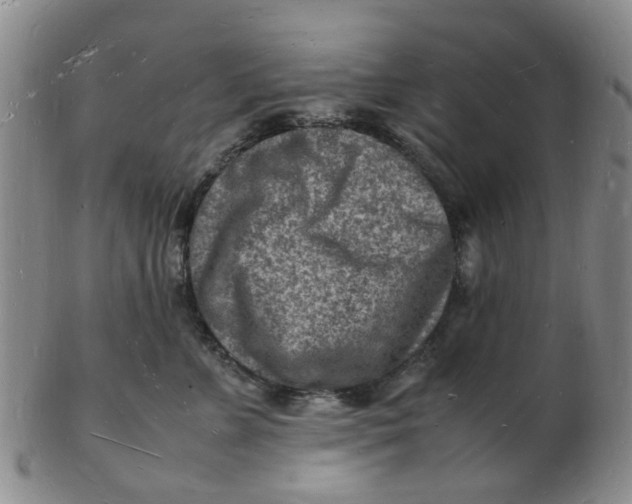 X0000102780715200809081027