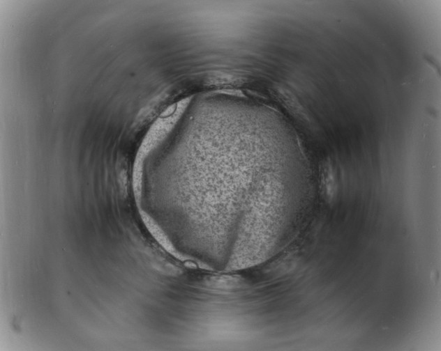 X0000102780716200809081027