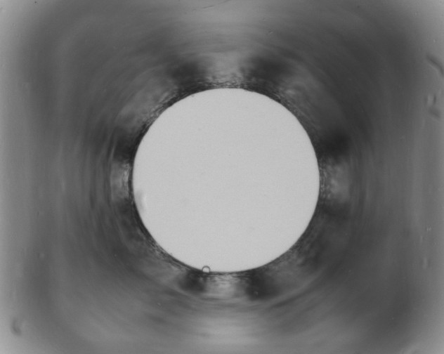 X0000102780717200809081027