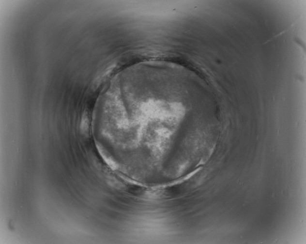 X0000102780720200809081027