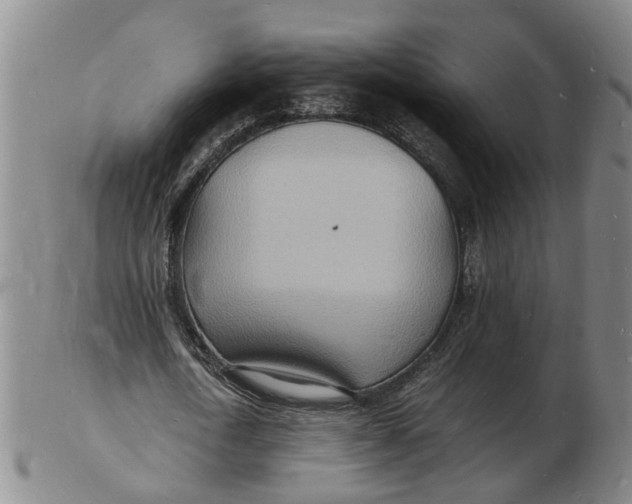 X0000102780722200809081027