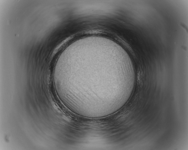 X0000102780724200809081027