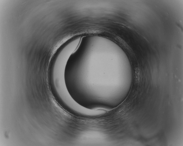 X0000102780726200809081027