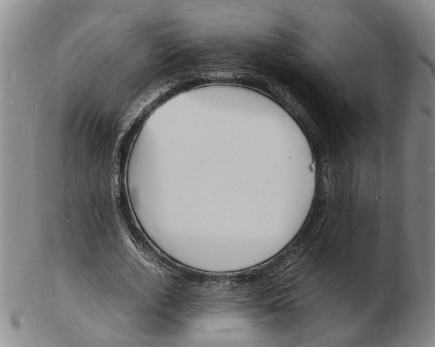 X0000102780728200809081027