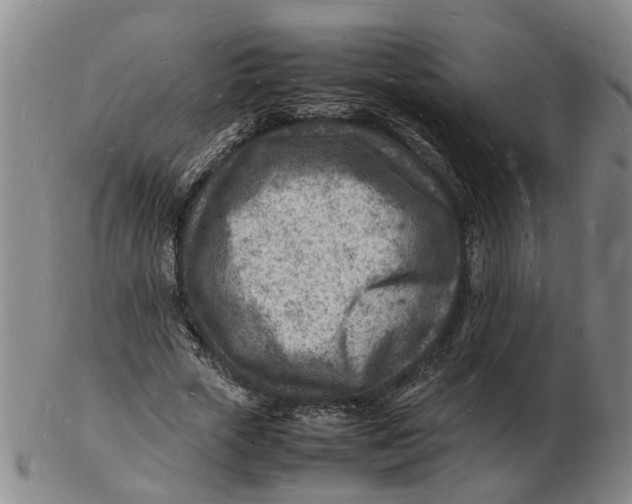 X0000102780729200809081027