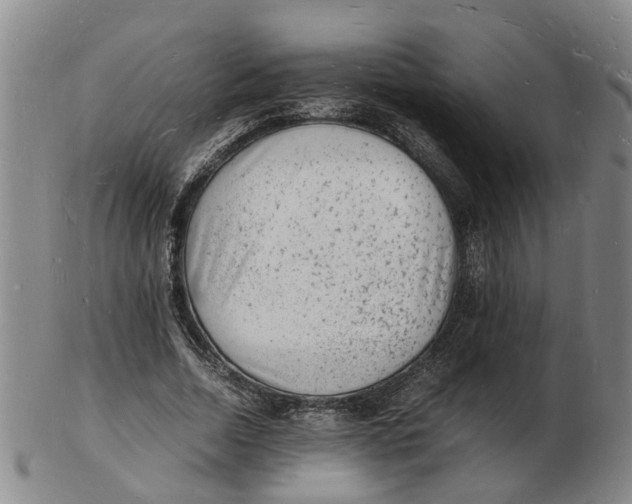 X0000102780730200809081027