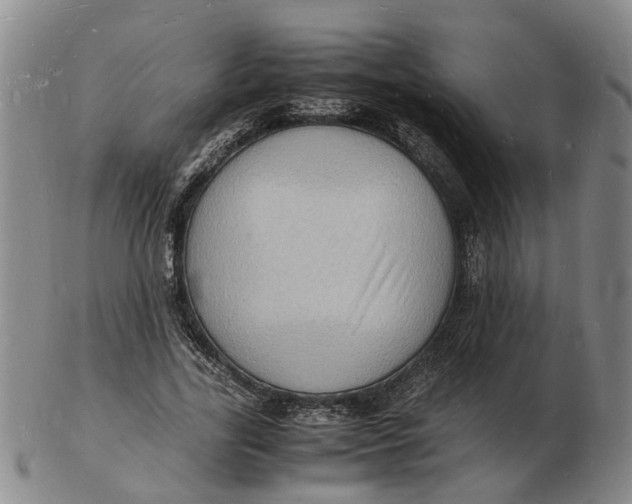 X0000102780731200809081027