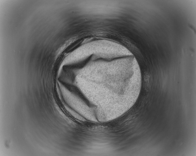 X0000102780734200809081027