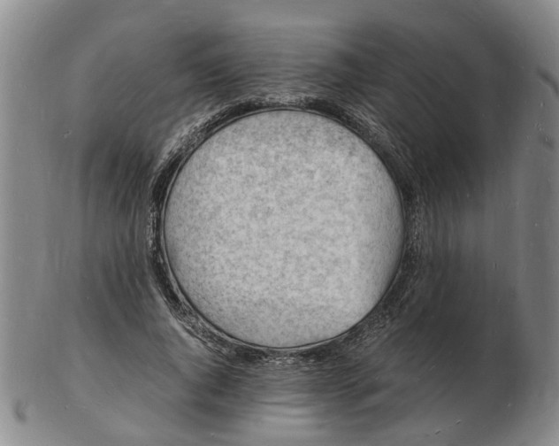 X0000102780736200809081027