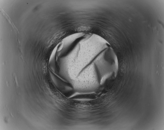 X0000102780743200809081027