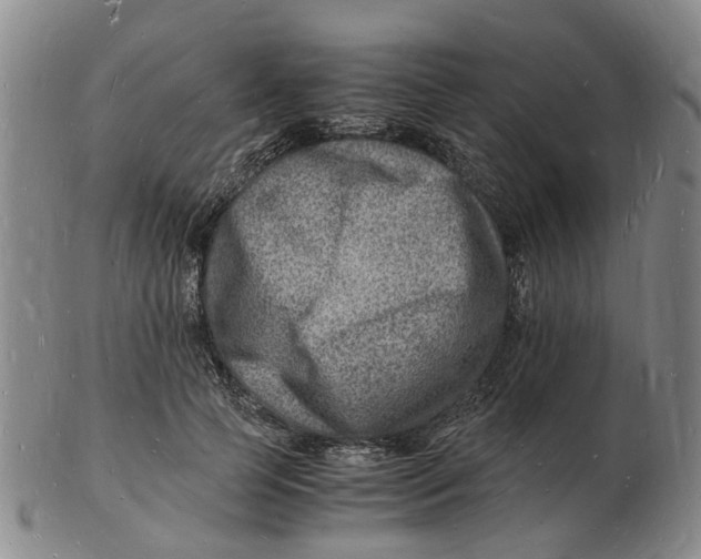 X0000102780745200809081027