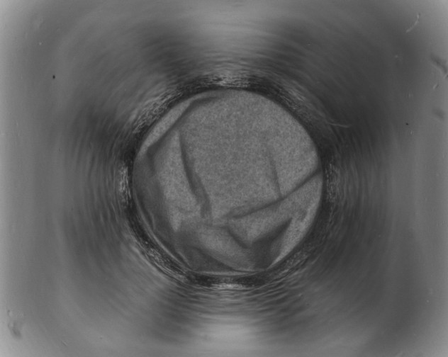 X0000102780748200809081027