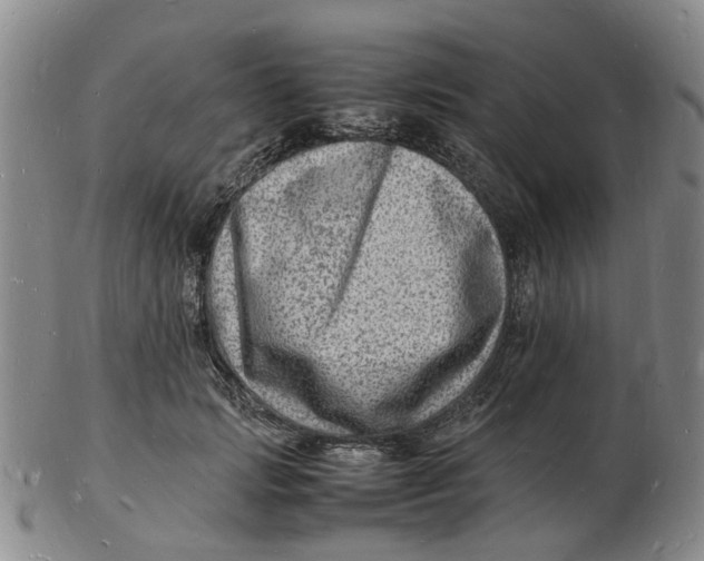 X0000102780749200809081027