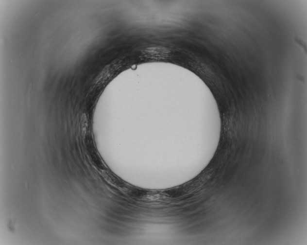 X0000102780752200809081027