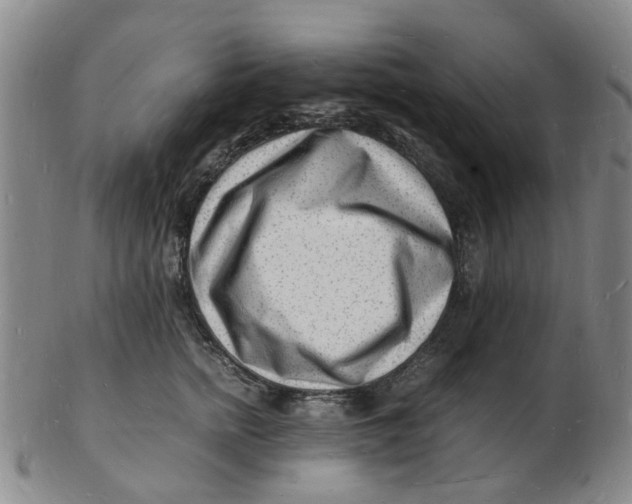 X0000102780758200809081027