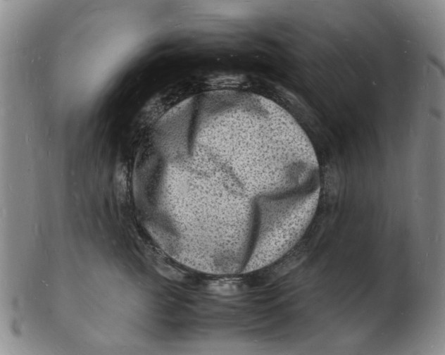 X0000102780761200809081027