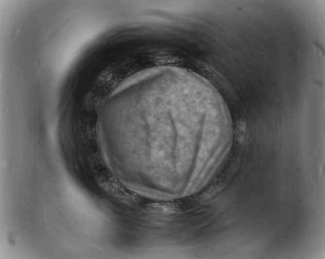 X0000102780763200809081027