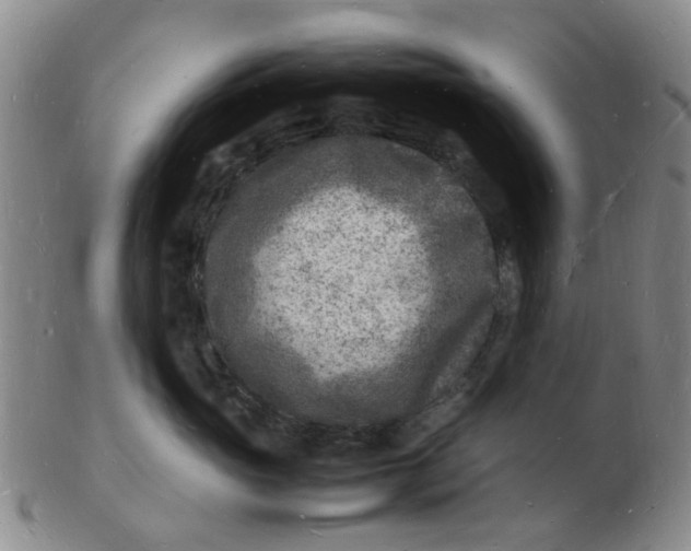 X0000102780765200809081027