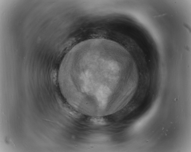 X0000102780767200809081027