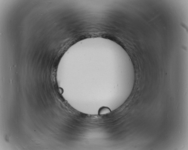 X0000102780768200809081027