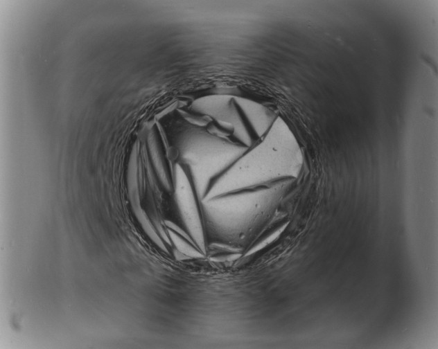 X0000102780769200809081026