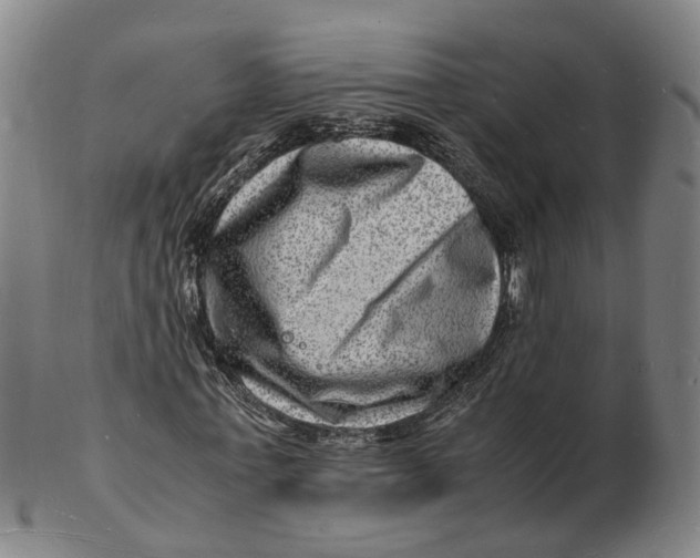 X0000102780771200809081026