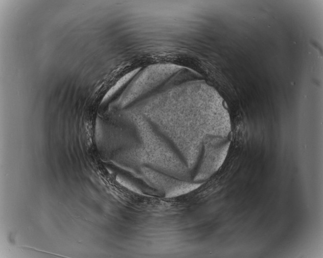 X0000102780772200809081026