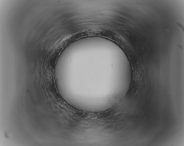 X0000102780773200809081026