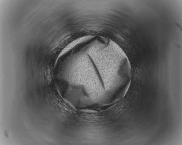 X0000102780774200809081026