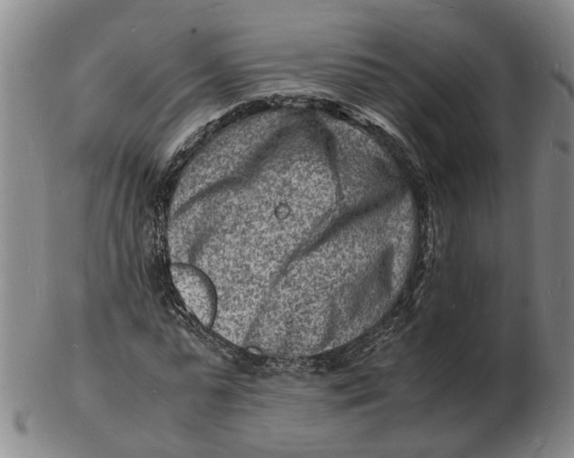 X0000102780775200809081026