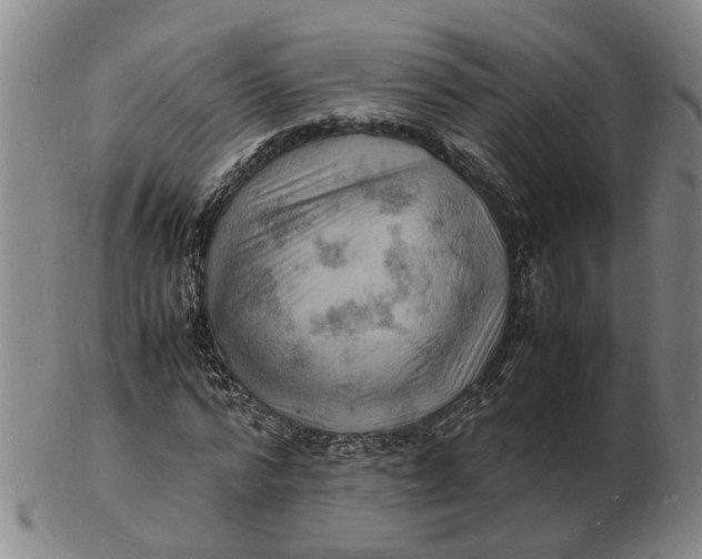 X0000102780776200809081026