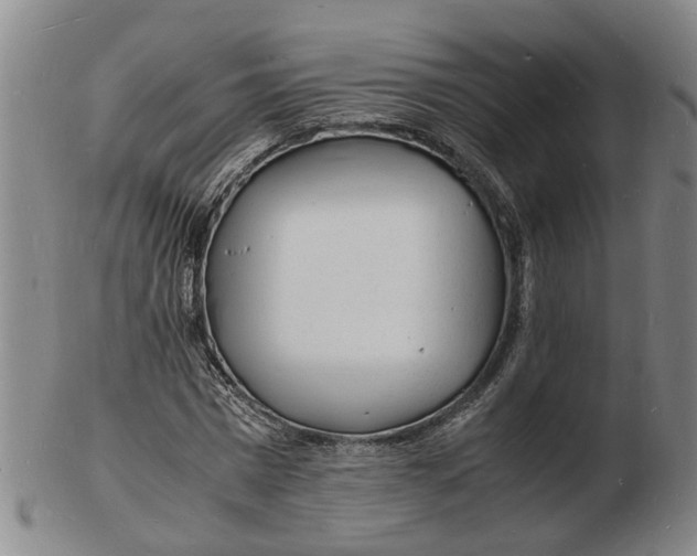 X0000102780777200809081026