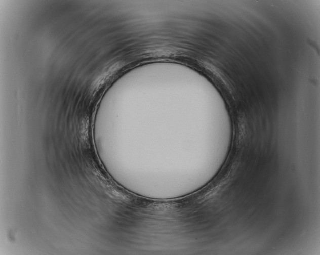 X0000102780778200809081026