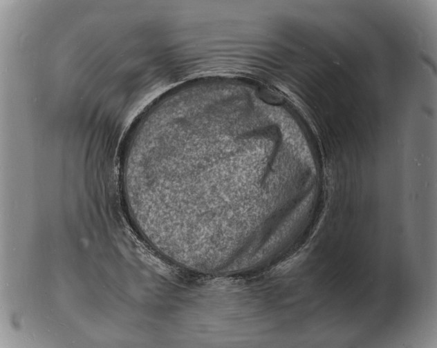 X0000102780779200809081026