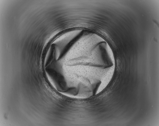 X0000102780780200809081026