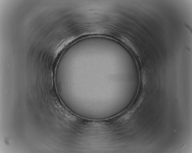 X0000102780781200809081026