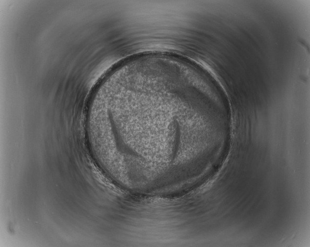 X0000102780783200809081026